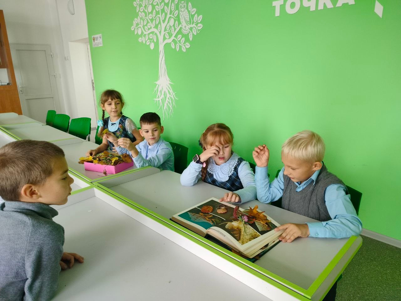 Дополнительное образование в рамках работы центра &amp;quot;Точка роста&amp;quot;.